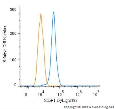 Flow Cytometry of Neuro2A Cells Stained with Conjugated 53BP1 Antibody